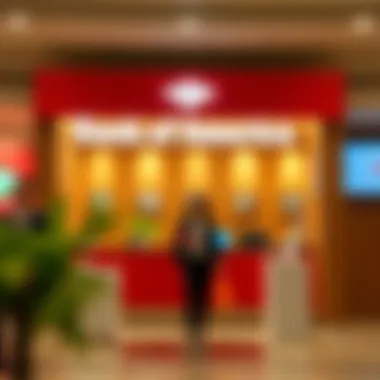 Magnificent A Comprehensive Guide to Bank of America Account Types Magnificent A Comprehensive Guide to Bank of America Account Types