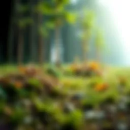 Analyzing land valuation techniques